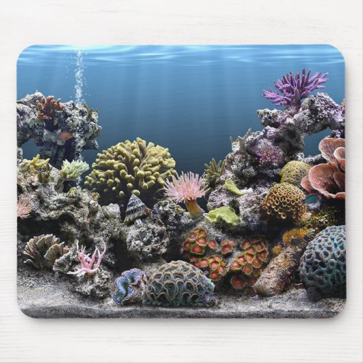 Aquarium Muismat (Voorkant)