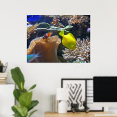 Aquarium (Nemo) Poster (Thuiskantoor)