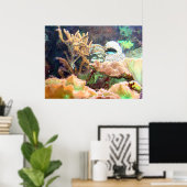 Aquarium Poster (Thuiskantoor)