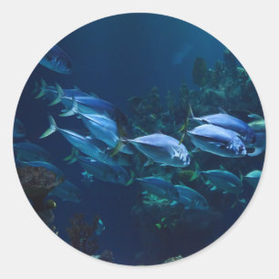 Aquarium Ronde Sticker