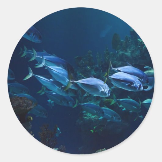 Aquarium Ronde Sticker (Voorkant)