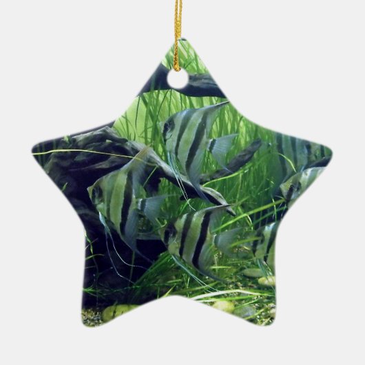 Aquarium Striped Fish Keramisch Ornament (Voorkant)