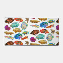 Aquarium tropical coloré Poisson