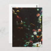 Aquarium van Canada, Toronto, Canada Briefkaart (Voorkant / Achterkant)