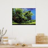 Aquarium van Freshwater Angelfish Poster (Keuken)