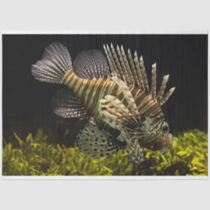aquariumlionistisch weefselpapier tissuepapier