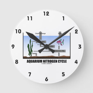 Aquariumstikstof-cyclus (ecologie) ronde klok