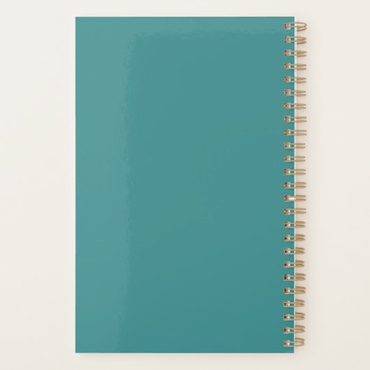 Aquarius Astrology Planner (Achterkant)