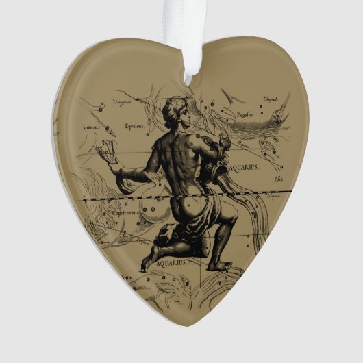 Aquarius Constellation Hevelius 1690 Engraving (devant)