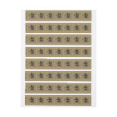 Aquarius Constellation Hevelius 1690 jan 20 feb 18 (Vel)