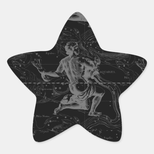Aquarius Constellation Hevelius 1690 on Black Ster Sticker (Voorkant)
