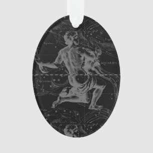 Aquarius Constellation Hevelius 1690 sur Black
