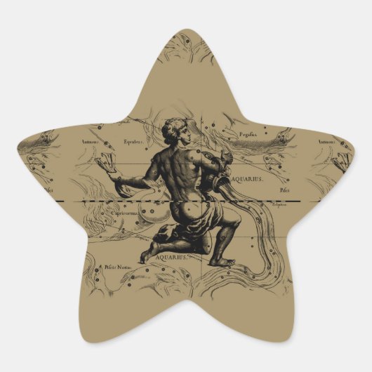 Aquarius Constellation Map door Hevelius Ster Sticker (Voorkant)