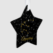 Aquarius Constellation Ornament (voorkant)