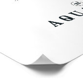 Aquarius Constellation Zodiac Poster (Hoek)