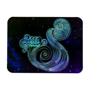 aquarius de waterdrager zodiac magnet magneet