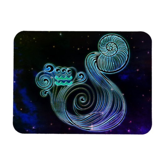aquarius de waterdrager zodiac magnet magneet (Horizontaal)