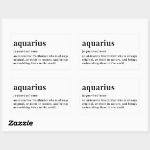 Aquarius Definitie Esthetische Astrologie Cadeau Rechthoekige Sticker