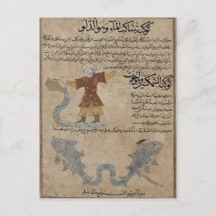 Aquarius en Pisces Briefkaart