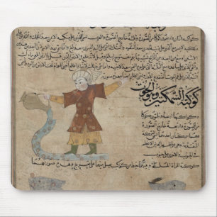 Aquarius en Pisces Muismat