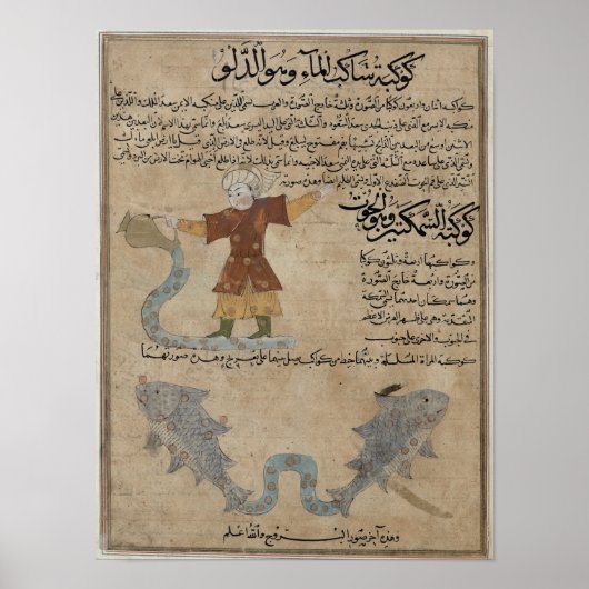 Aquarius en Pisces Poster (Voorkant)