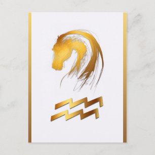Aquarius Horse Birthday Astrlogy Verticaal Briefka Briefkaart