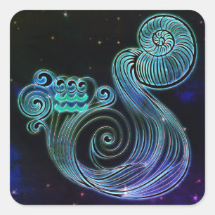 aquarius le porte-eau stickers zodiac