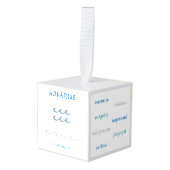 Aquarius Ornament (Voorkant hoekig)