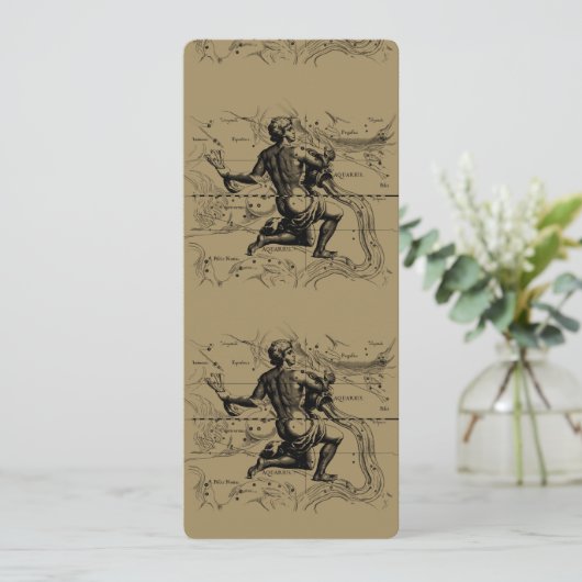 Aquarius Sterrenbeeld Kaart Hevelius 1690 op Taupe (Staand voorkant)