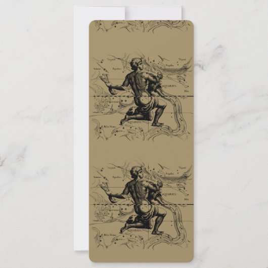 Aquarius Sterrenbeeld Kaart Hevelius 1690 op Taupe (Voorkant)