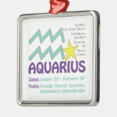 Aquarius Traits Ornament (Links)