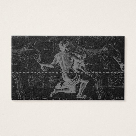Aquarius Zodiac Constellation Hevelius 1690 (Devant)