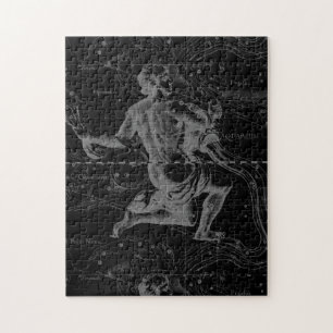 Aquarius Zodiac Constellation Hevelius 1690 Legpuzzel