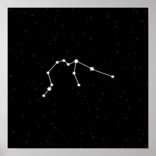 Aquarius Zodiac Constellation Modern Black & White Poster