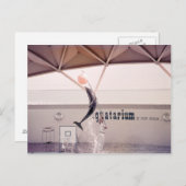 Aquatarium St. Pete Beach Briefkaart (Voorkant / Achterkant)