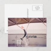 Aquatarium St Pete Beach Floride Carte postale (Devant / Derrière)