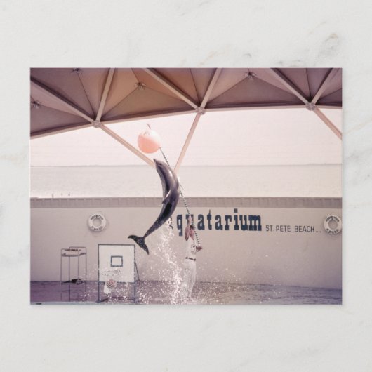 Aquatarium St Pete Beach Floride Carte postale (Devant)
