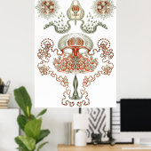 Aquatic Art ~ Jellyfish Poster (Thuiskantoor)