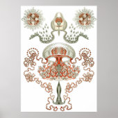 Aquatic Art ~ Jellyfish Poster (Voorkant)