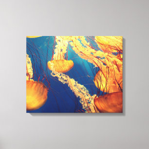 Aquatic Nautical Photography Marine Animal Photogr Canvas Afdruk
