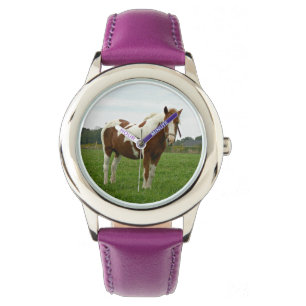 Aquebogue Painted Horse Horloge