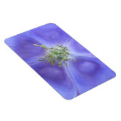Aquilegia Flower Premium Magnet Magneet (Rechterzijde)