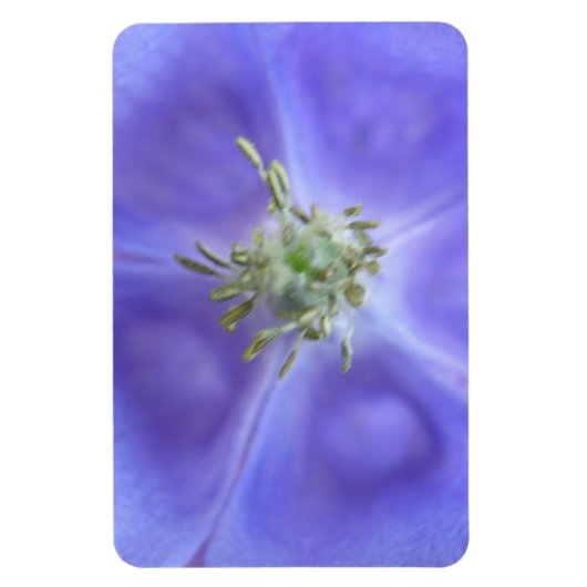 Aquilegia Flower Premium Magnet Magneet (Verticaal)
