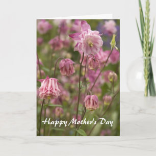 Aquilegia rose... carte