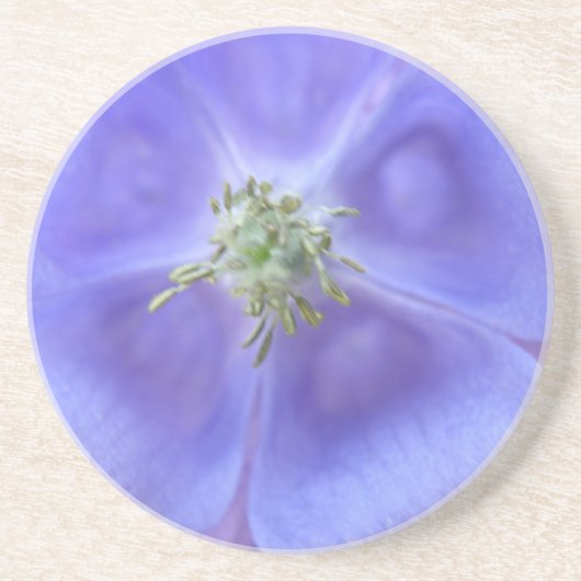 Aquilegia VloerOnderzetters Zandsteen Onderzetter (Voorkant)