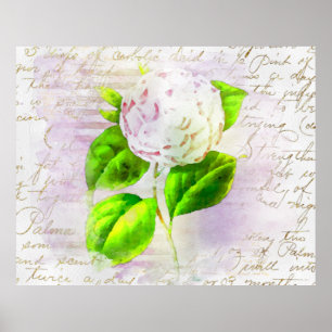 ** AR23 Floral Old Handwriting  Victoriaans Poster