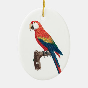 Ara Canga Parrot Keramisch Ornament