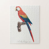 Ara Canga Parrot Legpuzzel (Verticaal)