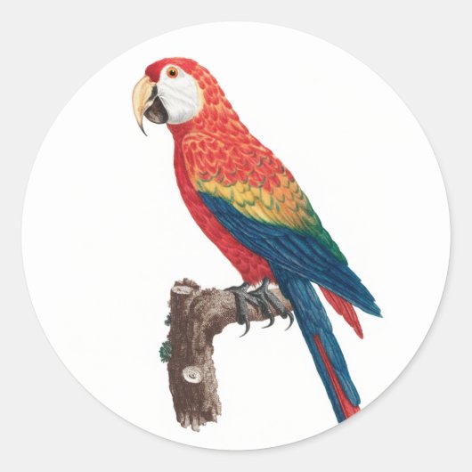 Ara Canga Parrot Ronde Sticker (Voorkant)