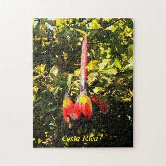 Ara d'écarlate de puzzle (Vertical)